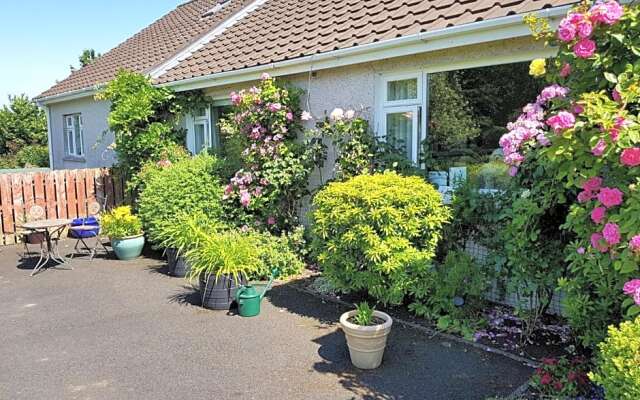 Meadow View B&B
