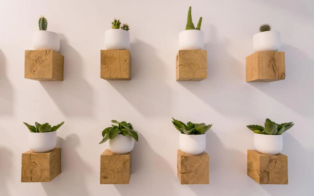 Seis Aldabas Apartamentos