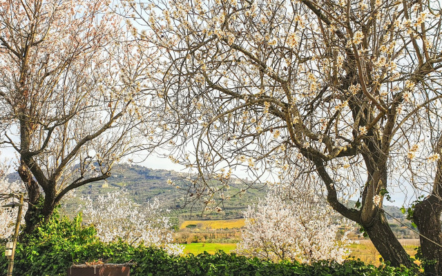 Margherita Holiday Home