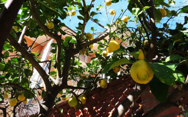 Villa Delle Ciliegie