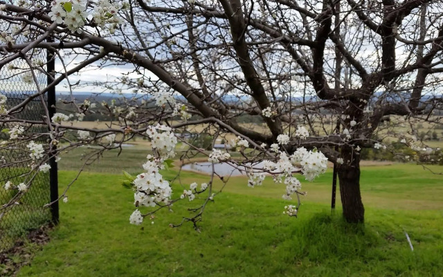 Sovereign Hill Country Lodge