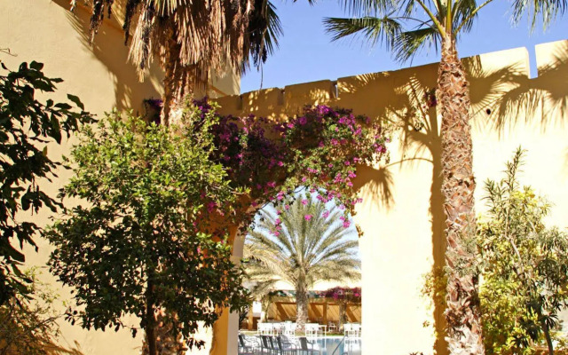 Sun Palm