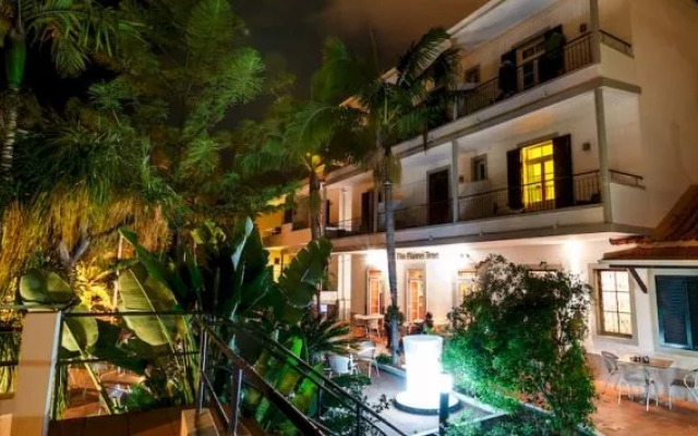 Vila Camacho Guest House