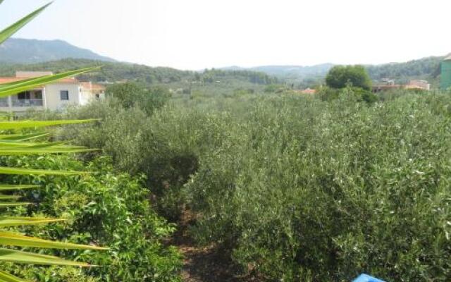 Leventis Apartments