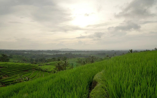 Dukuh Baturan Villa