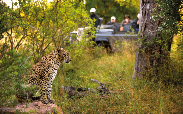 Lion Sands Narina Lodge