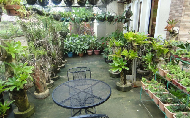 Casanas Suites