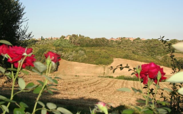 Relax sulla collina