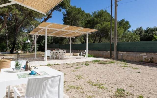 1143 Le Cicale - Violetta