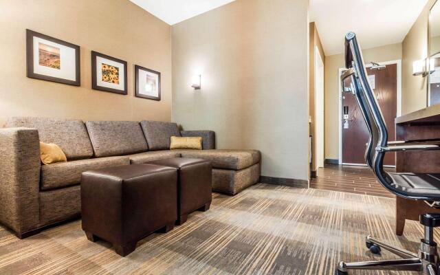 Comfort Suites University