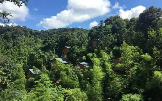 Xinghegu Ecological Resort