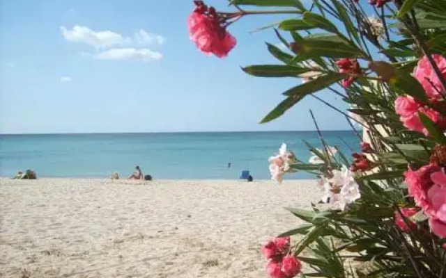 Strelitzia Holiday House