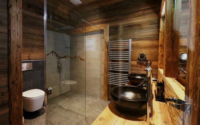Amber Ski-in/out Hotel & Spa