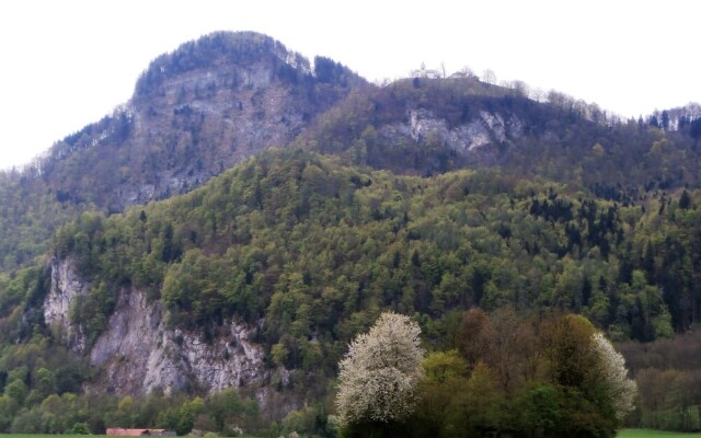 Gasthof Falkenstein & Metzgerei Schwaiger