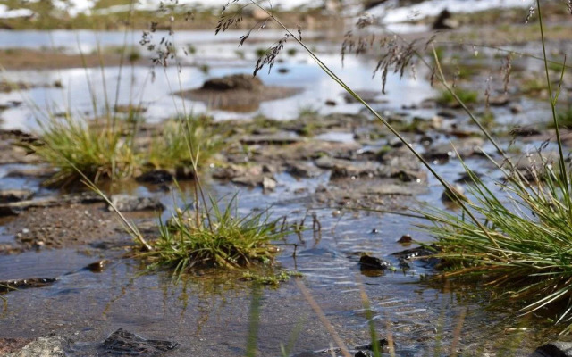 Ferienwohnungen Reinalter