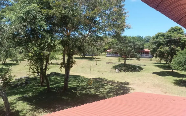 The Wild Fo'rest Resorts