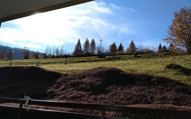 Appartement Nr 99, Alpenappartementhaus, Oberstaufen-Steibis, Allgäu