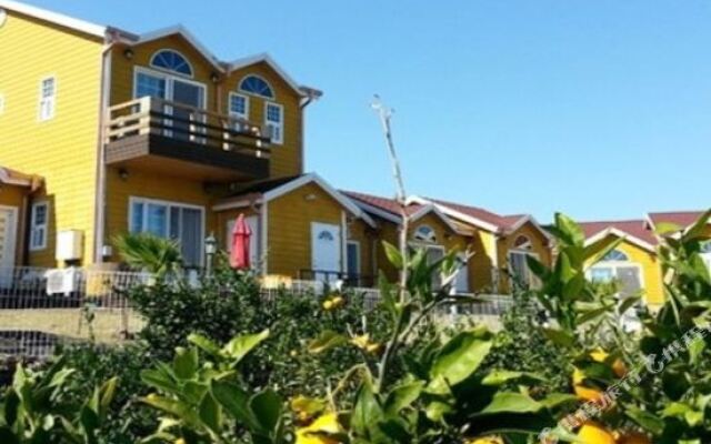 Jeju Healing House Pension