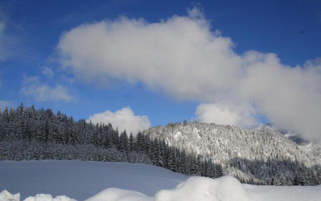 Alpengasthof Oberweissbach
