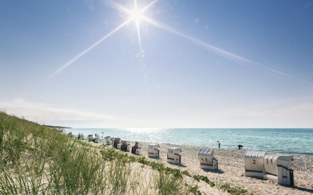 Fischland Ferienhäuser