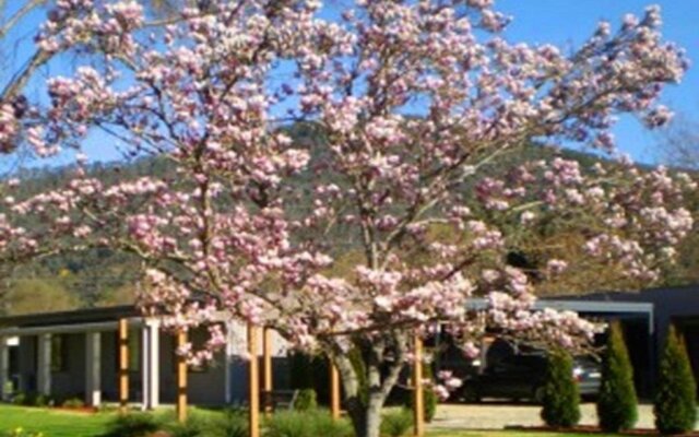 Grevillea Gardens Apartment 3