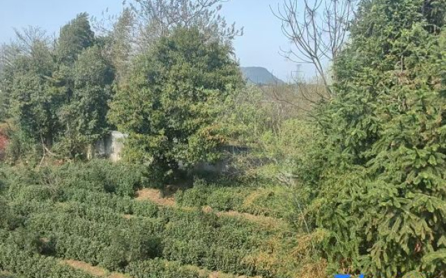Warm Words Homestay – Outside – Huzhou