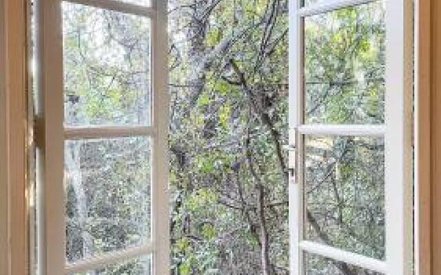 Blue House In The Woods- Amirim