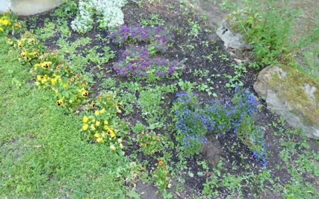 Herberge zur Herrlichkeit