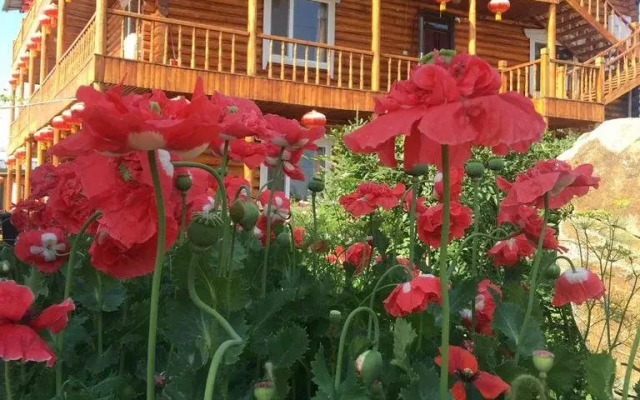 Russia Camp Resort