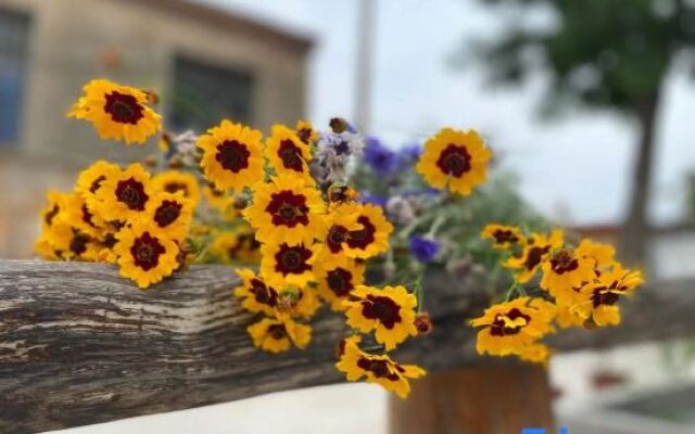 Changdao Dream1902 B&B