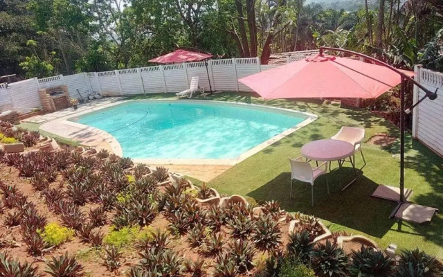 54 Malcolm Hidden Gem Near Musgrave