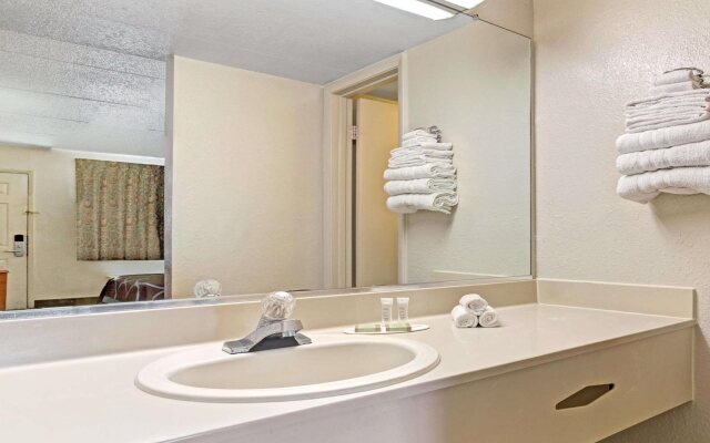 Super 8 by Wyndham Tampa U.S.F. Near Busch Gardens Downtown