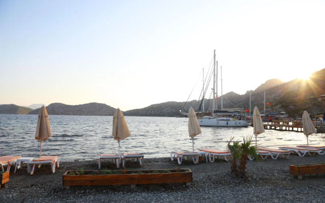 Tiny House Echino söğüt