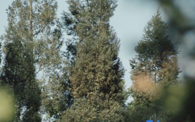 Xiang·Stay Homestay (Xingyi Wanfenglin Branch)