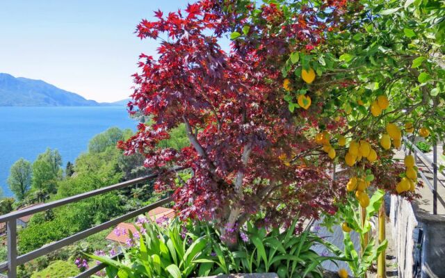 della Nonna (CNR120)