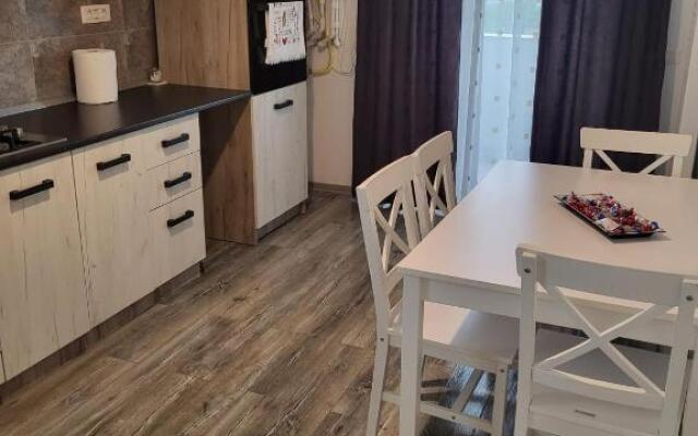 Apartament Dem Radulescu