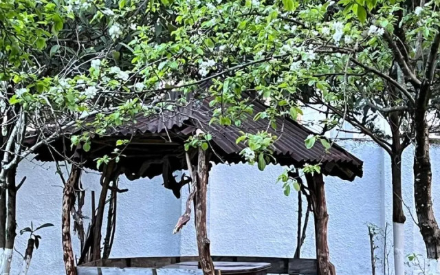 Gonio Sea Side