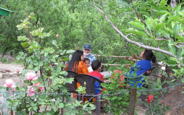 Manali top Inn & Cafe