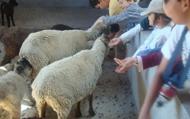 Parque Natural Los Manantiales