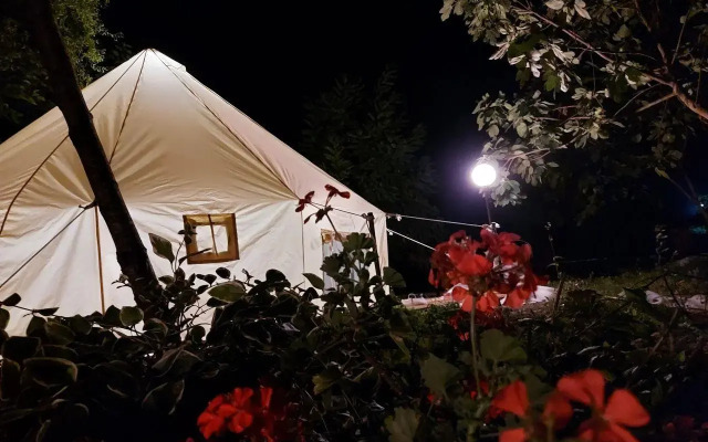 KiwiTravel (Киви Тревел)