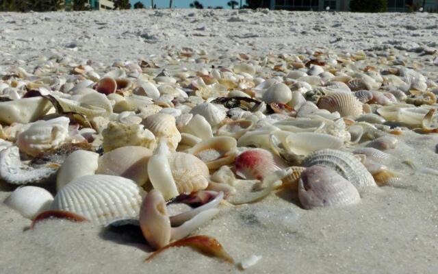 2BR/2BA condo Sienna Park