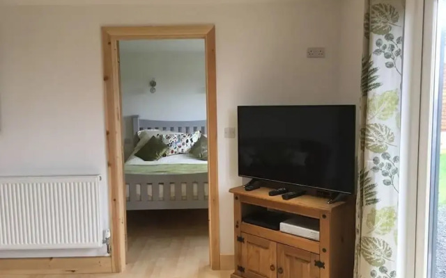 Luxury Apartment