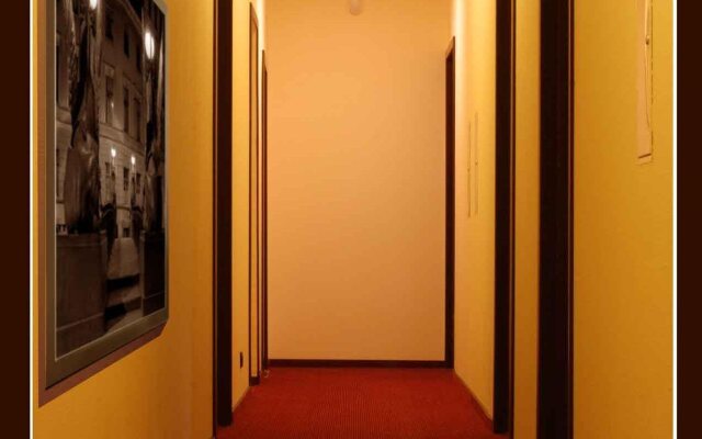 Стоуни Айлэнд на Каменноостровском