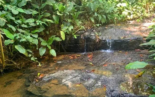 Private jungle “Loft del Rio” river access