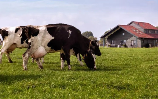 B&B Gastenverblijf Hoogenboom