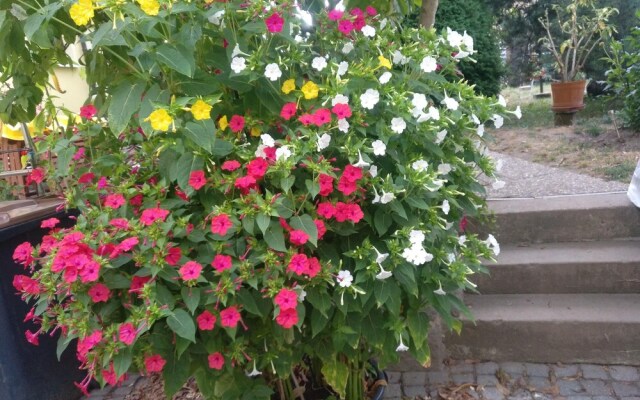 Ferienwohnung-der-Familie-Thierse