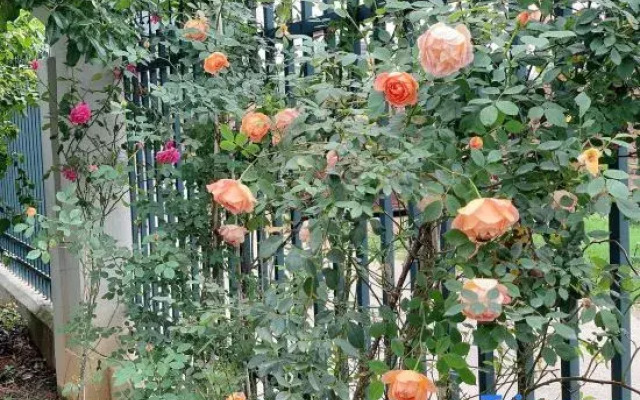 Guilin 6hao Chinese Inn Villa