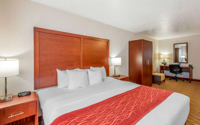 Comfort Inn Mount Shasta Area