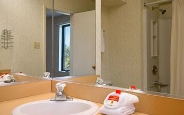 Super 8 Manassas/I-66