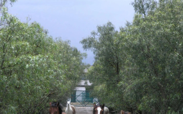 Hacienda La Ciénega